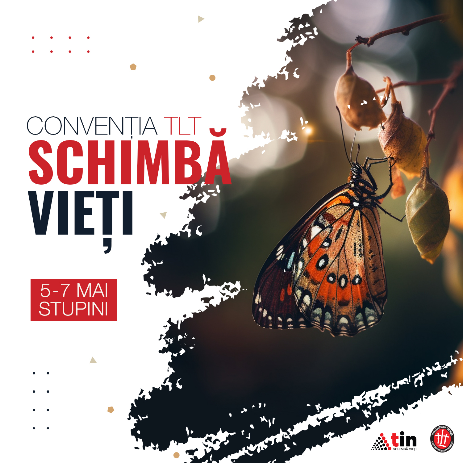 Convenția TLT