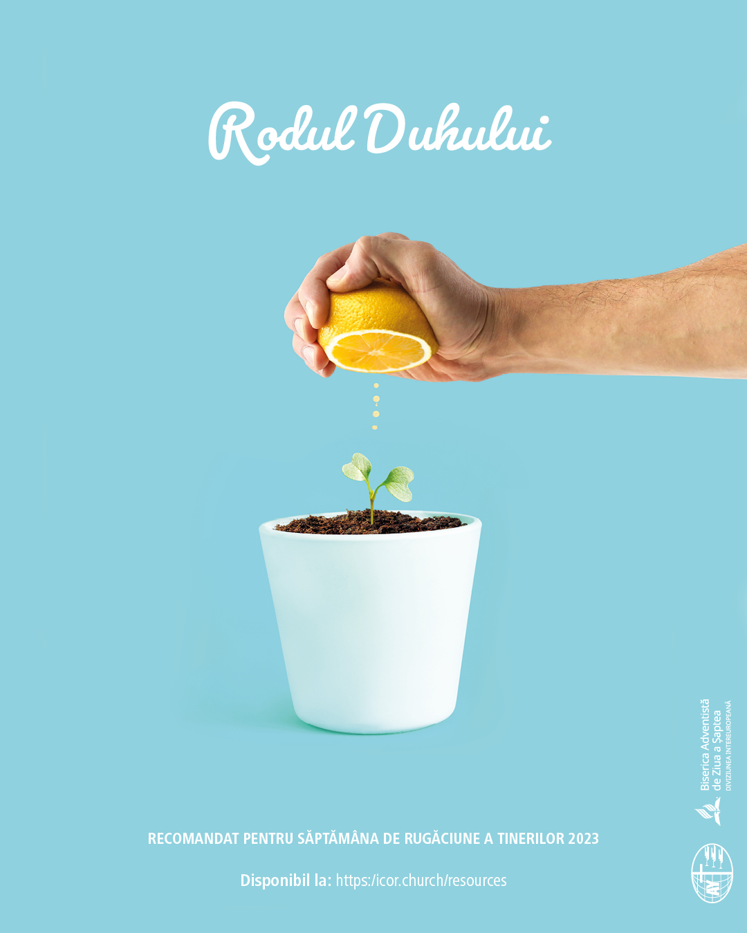 Broșura SRT RO